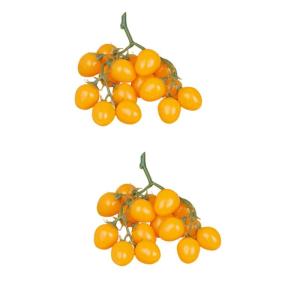 2st Simulierte Kleine Tomaten Künstliche Kirschtomaten-Modell Kunstfruchtdekor Realistisch Simulationsfrucht Zuhause Gefälschte Fruchtstütze Küche Kirschtomaten Prop Yellow Sch