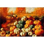 AluVerbund-Bild 90 x 60 cm: Erntehintergrund einschließlich Kürbisse, Tannenzapfen, Herbstblätter und Früchte.(192592722)