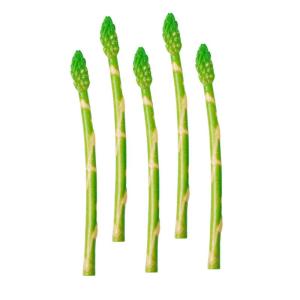 5 Stück Simulierter Spargel Künstlicher Spargel Spielzeug Lebensechtes Gemüsespielzeug Künstlicher Spargel Ornament Lebensechter Gefälschter Spargel Künstlicher Spargel