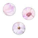 , decoratie, 60 stuks, madeliefjes, bloemkoppen, zijden bloemen, decoratie, kunstbloemkoppen, knutselen, bloemen voor doe-het-zelf handwerk, scrapbooking, bruiloft, feesten,