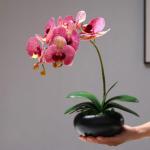 Kunstblumen Künstliche Pflanzen, gefälschte Orchideenpflanzen auf dem Tisch, Blumenarrangements oder Orchideendekoration für Zuhause, Küchenparty, gefälschte Bonsai für jeden