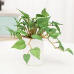 Kunstblumen Künstliche Pflanzen, kleine Kunstpflanzen, grünes Gras, Büro, Heimdekoration, 5 Verschiedene Pflanzen, Kunstpflanzen im Topf, 17 cm für jeden Anlass