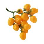2st Simulierte Kleine Tomaten Künstliche Kirschtomaten-Modell Kunstfruchtdekor Realistisch Simulationsfrucht Zuhause Gefälschte Fruchtstütze Küche Kirschtomaten Prop Yellow Sch