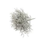 Kunstmatige Calocephalus (prikkeldraad plant/zilveren mandje) Kleur: grijs (2 stuks)