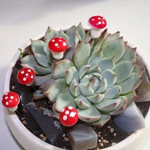 Decoratieve vliegenzwammen op de Drath, 35 stuks (25 mm) paddenstoelen, mini-paddenstoelen om te knutselen, decoratie als tafeldecoratie voor bruiloft, kinderverjaardag, miniatuur 