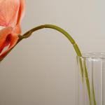 Künstliche Orchideenstiele, fühlen sich echt an, Phalaenopsis 45 cm, künstliche Orchideenzweige mit 5 großen Blumen für Vase, Hochzeit, Party, Zuhause, Garten, Dekoration (wei