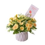 Kunstblumen Künstliche Topfblumen，Kleine Bonsai für Hochzeit Zuhause Schreibtisch Tischplatte Outdoor，Mehrfarbig（Weiße Keramikvase） für jeden Anlass