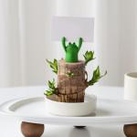 Mini Brasilien Lucky Wood, Brasilianische Glücksholzpflanze, Hydrokultur-Baumstumpf IndoorOffice Desktop-Pflanze zur Reinigung der Raumluft, Live Feng Shui Dekor, einfaches Wachst