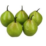 5 stuks kunstdecoratie, groen, 20-40 g/uur, levensecht plastic fruit, plastic fruit, kunstfruit, fruit, decoratie, etalage, huishouden, keuken, feest, hotel, kinderkeuken, speelkeu