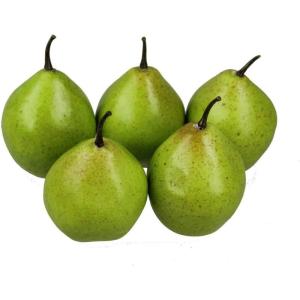 5 stuks kunstdecoratie, groen, 20-40 g/uur, levensecht plastic fruit, plastic fruit, kunstfruit, fruit, decoratie, etalage, huishouden, keuken, feest, hotel, kinderkeuken, speelkeu