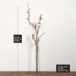 54 cm Roze Winter Pruim Tak Kunstmatige Bloem Thuis Hotel Bruiloft Scene Decoratie Bloemstuk DIY (A, 1 stuks)