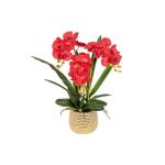 Kunst Phalaenopsis Modieuze Potplanten Decoratie Bloemstukken Tafeldecoraties