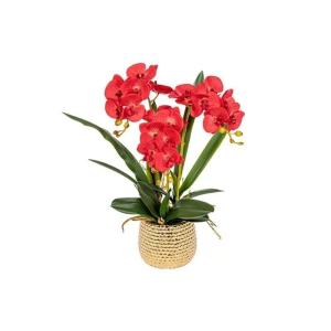 Kunst Phalaenopsis Modieuze Potplanten Decoratie Bloemstukken Tafeldecoraties