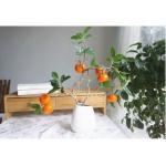 Kunstblumen Künstlicher Granatapfel, Pfirsich, Mandarinenbaum, Pflanzendekoration, Bonsai, Fensterbank, Dekoration, Hof, simulierte Pflanzen, Bonsai für Zuhause für jeden Anlass