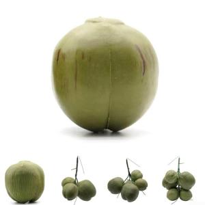 Künstliche Kokosnuss-/Obst- und Gemüse-Modelle, künstliche Kokosnuss, Bauernhaus-Dekoration, künstliche Obst-Requisiten (14 x 12 x 12 cm)
