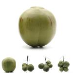 Künstliche Kokosnuss-/Obst- und Gemüse-Modelle, künstliche Kokosnuss, Bauernhaus-Dekoration, künstliche Obst-Requisiten (11 x 10 x 10 cm)