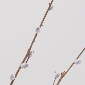 Künstliche Weidenkätzchenzweige, 3 Stück, realistische 40-Zoll-Weidenkätzchen, DIY, dekorative Weidenkätzchenzweige für Vasen, Hochzeitsfotografie-Requisite, künstliche Pfla