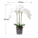 Kunstblumen Künstliche Pflanzen, Phalaenopsis-Orchideen-Blumenarrangement in Vase, realistische Orchideen-Blumenpräsentation im Topf für Zuhause für jeden Anlass