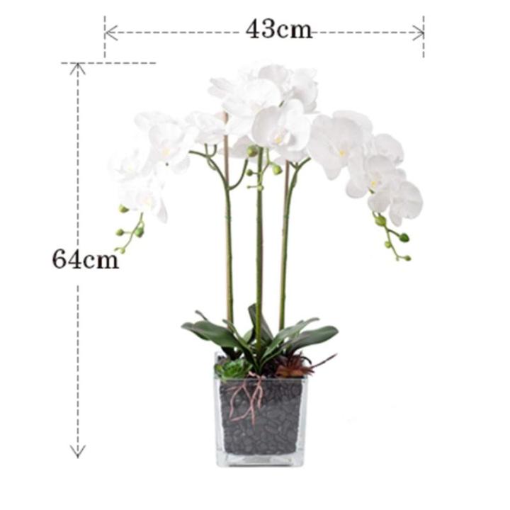 Kunstblumen Künstliche Pflanzen, Phalaenopsis-Orchideen-Blumenarrangement in Vase, realistische Orchideen-Blumenpräsentation im Topf für Zuhause für jeden Anlass