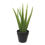 Aloë Vera plant, kunstplant, kunstboom, kunstplant, decoratie, in zwarte pot, zeer realistisch, groen (25 cm - MN-KP-2216)