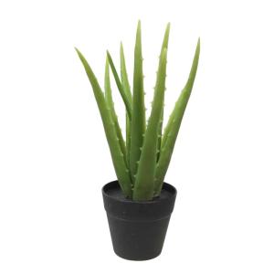 Aloë Vera plant, kunstplant, kunstboom, kunstplant, decoratie, in zwarte pot, zeer realistisch, groen (25 cm - MN-KP-2216)