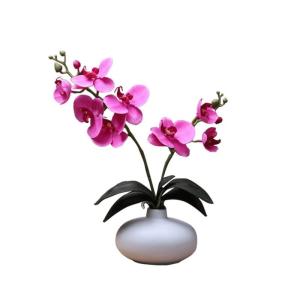 Kunstblumen Phalaenopsis-Kunstblumen-Arrangement mit Keramiktopf, künstliche Blumen, Seiden-Orchideen-Blume für den Tisch im Wohnzimmer für jeden Anlass