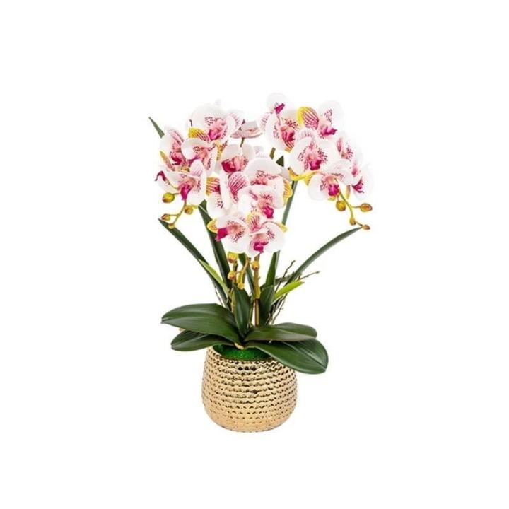 Kunst Phalaenopsis Modieuze Potplanten Decoratie Bloemstukken Tafeldecoraties