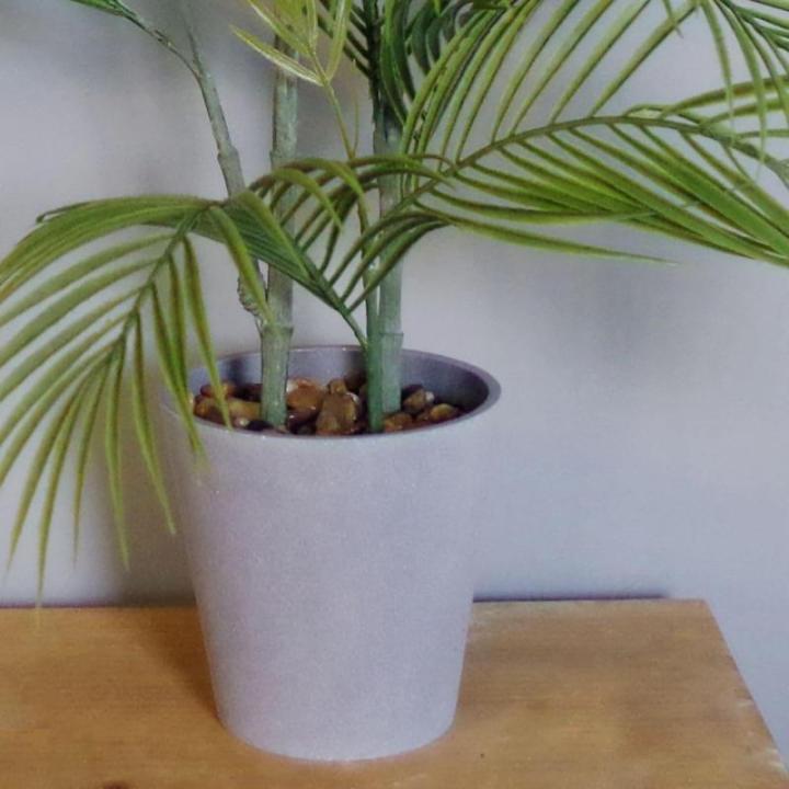 Realistische künstliche Palme und Tropische Bäume im Topf – fertig zum Ausstellen