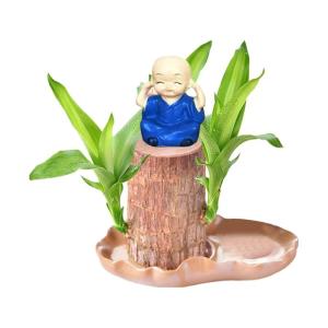 Braziliaanse planten indoor geluksholt plant set kleine mini-plant desktopplanten Braziliaanse houtplant met monnetje Braziliaans hout plantenstronk hout hydrocultuurplant (0A blau