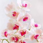 Kunstblumen Künstliche Blumen für den Innenbereich, Seidenorchideenblüten in Goldener Keramikvase, Dekorationsgeschenk für Freunde und Familie, schöne Form für jeden Anlass