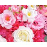 1 stuk 40 cm x 60 cm bloemenwandpaneel, , wandpaneel, bloemen, achtergrond, voor bruiloft, verjaardag, feest, woondecoratie, wanddecoratie, wit E
