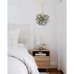 Hangende planten van 63,5 cm, kunstmatige luchtplanten, Tillandsia, kunstvetplanten met geweven katoenen touw, kunstmatige tillandsia kamerplanten, hangende nepplanten voor
