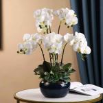 Kunstblumen Künstliches Blumenset, künstliche Phalaenopsis-Blumen, Pflanzenarrangement mit Keramiktopf, künstliche Ornamente in schöner Form für jeden Anlass