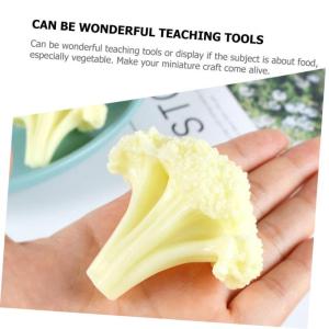 3 Stück Blumenkohl Modell Brokkoli Modelle Simulierte Brokkoli Modell Lebensechte Brokkoli Gefälschter Gemüse Brokkoli Künstliches Gemüse Broccolini
