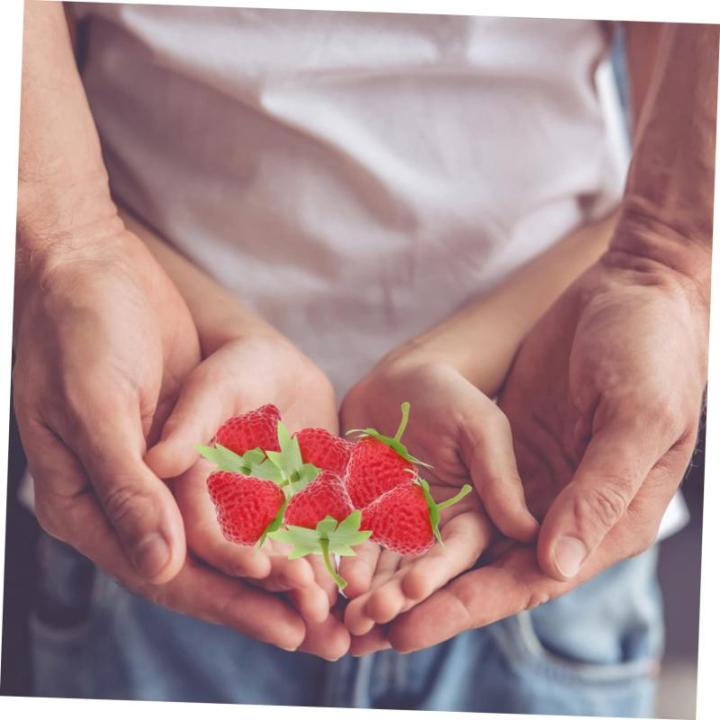 2 Sätze Simulierte Erdbeere Künstliche Frucht Zum Basteln Erdbeere Küchendekoration Künstliche Schaumstofffrucht Künstliche Erdbeeren Erdbeerspielzeug Künstliche 18 Stück * 