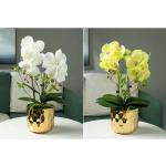 Kunstblumen Künstliches Blumen-Set, goldene Keramikvase mit künstlicher Schmetterlings-Orchidee, Arrangements für den Esstisch für Hochzeitsfeiern für jeden Anlass
