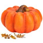 Zierkürbis orange als große Herbst-Deko in 19 cm - Keramik Deko-Kürbis als wetterfeste Outdoor Gartendeko - Kürbis-Deko als Erntedankfest Zimmer-Deko oder draußen Haustür Hal