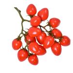 2st Simulierte Kleine Tomaten Zuhause Gefälschte Fruchtstütze Gefälschte Kirschtomaten Lebensechte Kirschtomaten Künstliche Kirschtomaten-Modell Simulation Kirschtomaten Rot Sc