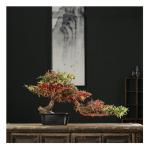 Künstlicher Bonsai-Baum Künstliche Pflanzen, 23 cm, schwarzer Keramiktopf, künstlicher Bonsai-Baum, künstliche Topfpflanze for Zuhause, Büro, Hochzeit, Gartendekoration Künst