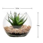 Kunstplant kunstmatige vetplant kamerplant decoratieve woonkamer, badkamer decoratieve plant vetplant, hoogte 8 cm, in glazen pot, set van 3
