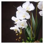 Kunstblumen Künstliche Blumen in transparenter Glasvase – Simuliertes Blumenarrangement für Wohnzimmer und Hochzeiten. Künstliche Blumen für jeden Anlass