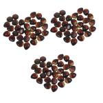 3 Sätze Schaumkastanie Simulationsnüsse Künstliche Kastaniendekorationen Kastanien-tischstreuung Künstliche Küchennahrung Schaumfruchtmodell Falsche Nuss Coffee 30 Stück * 3