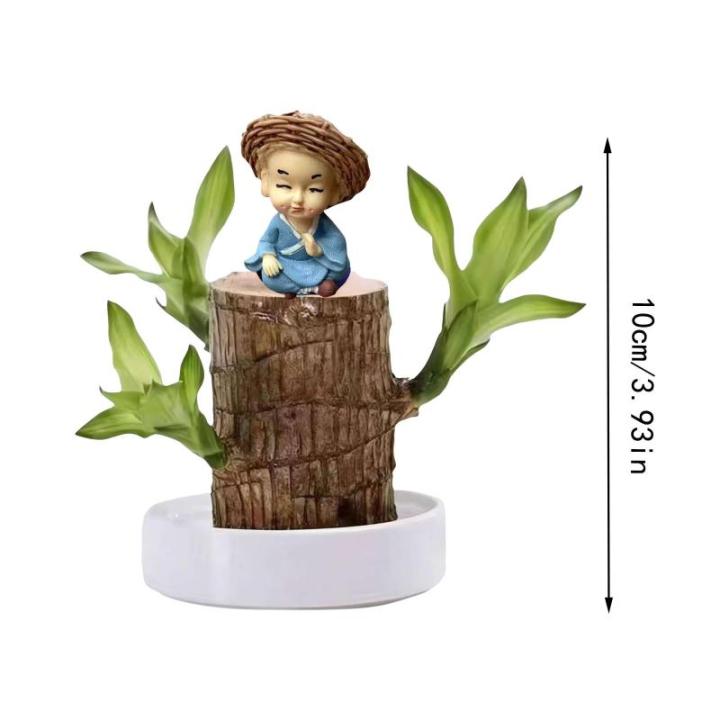 Braziliaans gloeiend hout, Braziliaanse houten plant, mini gelukshhout uit Braziliaanse houten plant met monnikstandbeelden, desktopplant, Braziliaanse houtplant, stomp