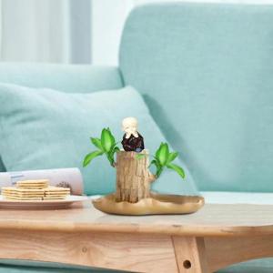 Braziliaanse planten indoor geluksholt plant set kleine mini-plant desktopplanten Braziliaanse houtplant met monnetje Braziliaans hout plantenstronk hout hydrocultuurplant (0A brui