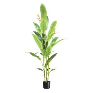 Strelitzie MN-KP-2213 Paradijsvogelbloem, kunstplant, kunstplant, decoratie, in zwarte pot, zeer realistisch, groen, 160 cm