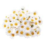 100 stuks Gerbera-, zijden bloemblaadjes, Gerbera-bloemblaadjes, witte madeliefjes, voor bruiloft, feest, knutselen, slingers, confetti voor scrapbooking