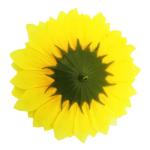 120 stuks kunstmatige zonnebloemhoofden faux zonnebloemhoofden in geel, 6,8 cm en 3,5 cm zonnebloemen zijde plastic planten voor huis tuin bruiloft feest decoratie krans DIY Craft