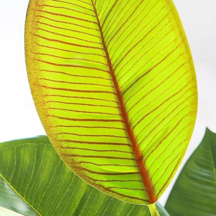 Lebensechter Kunstbaum Künstliche Pflanzen Gefälschter Gummibaum Grünes Blatt Tropische Pflanzen mit Topfgrün Floral Jungle Party Home Garden Decor Dekorationspflanze