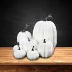 7 stuks kunstpompoenen, pompoen, decoratie, sierpompoen, kunstplantset voor Halloween, decoratie, herfstdecoratieset, 4 maten, wit