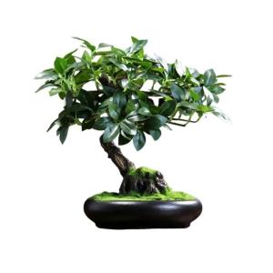 Künstlicher Bonsai-Baum Gefälschte grüne Pflanzen, dekorative Simulationsbaum-Bonsai-Ornamente, Wohnzimmer, Topfbaum, chinesische Feng Shui-Simulations-Bonsai-Ornamente Künstli